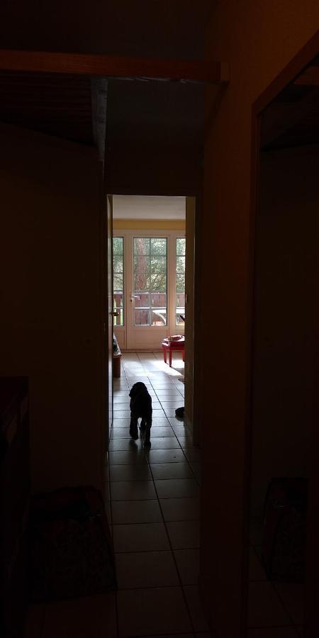 Albertine Appt 112 몰리엣젯마 외부 사진